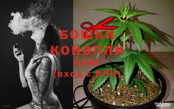 шишки Лихославль