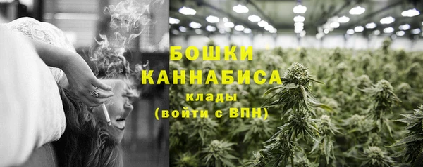 шишки Лихославль
