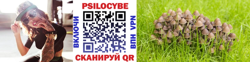 Псилоцибиновые грибы ЛСД omg вход Киселёвск