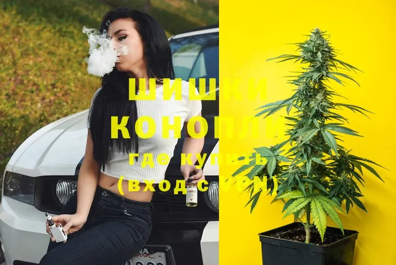 Шишки марихуана SATIVA & INDICA  Киселёвск 